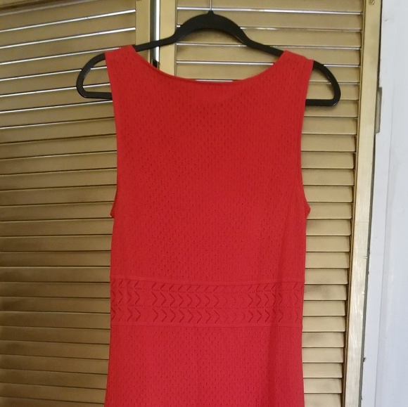 Above knee dress - Picture 3 of 3